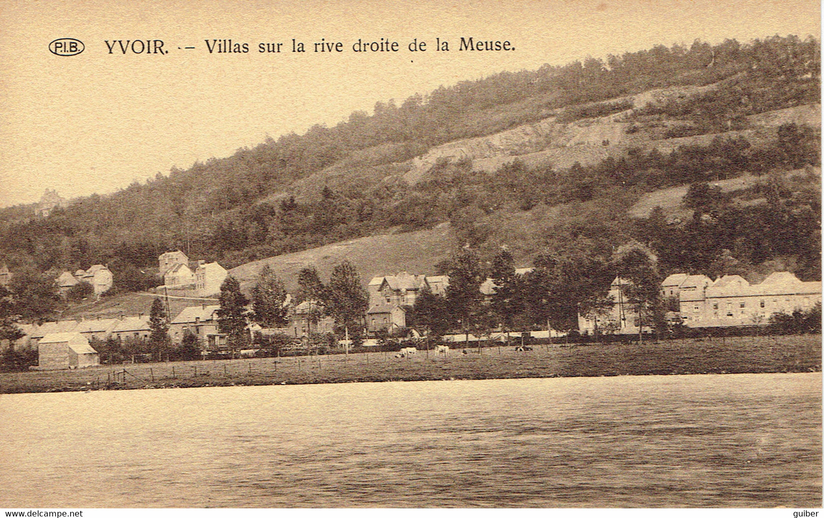 Yvoir Villas  Sur La Rive Droite De La Meuse   P.I.B. Delers Piette - Yvoir