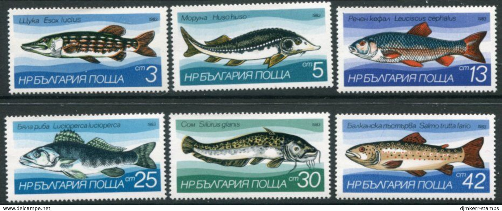BULGARIA 1983 Freshwater Fish  MNH / **.  Michel 3158-63 - Nuevos