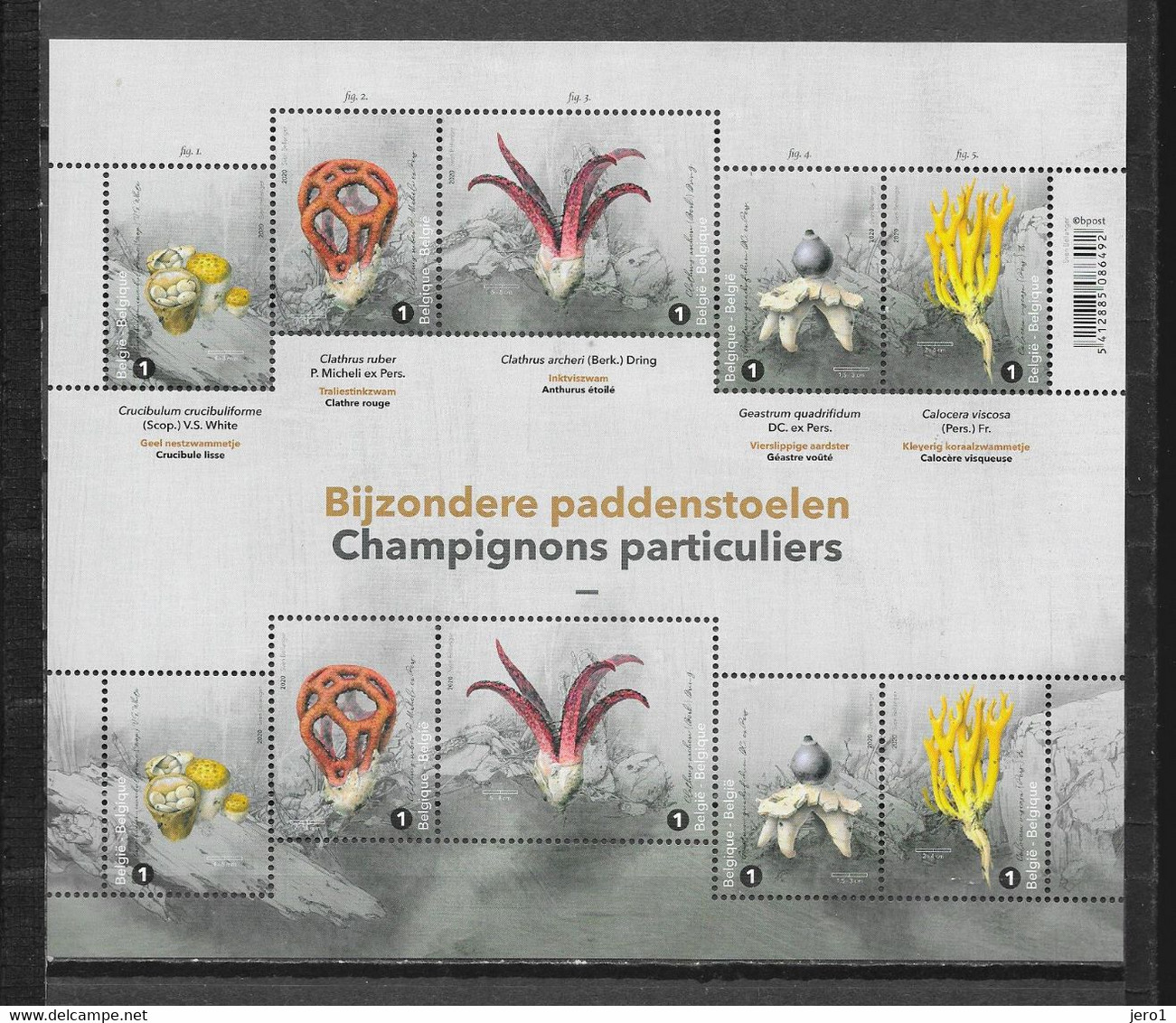 België 2020  Bijzondere Paddenstoelen  (**) - Full Sheets And Panes