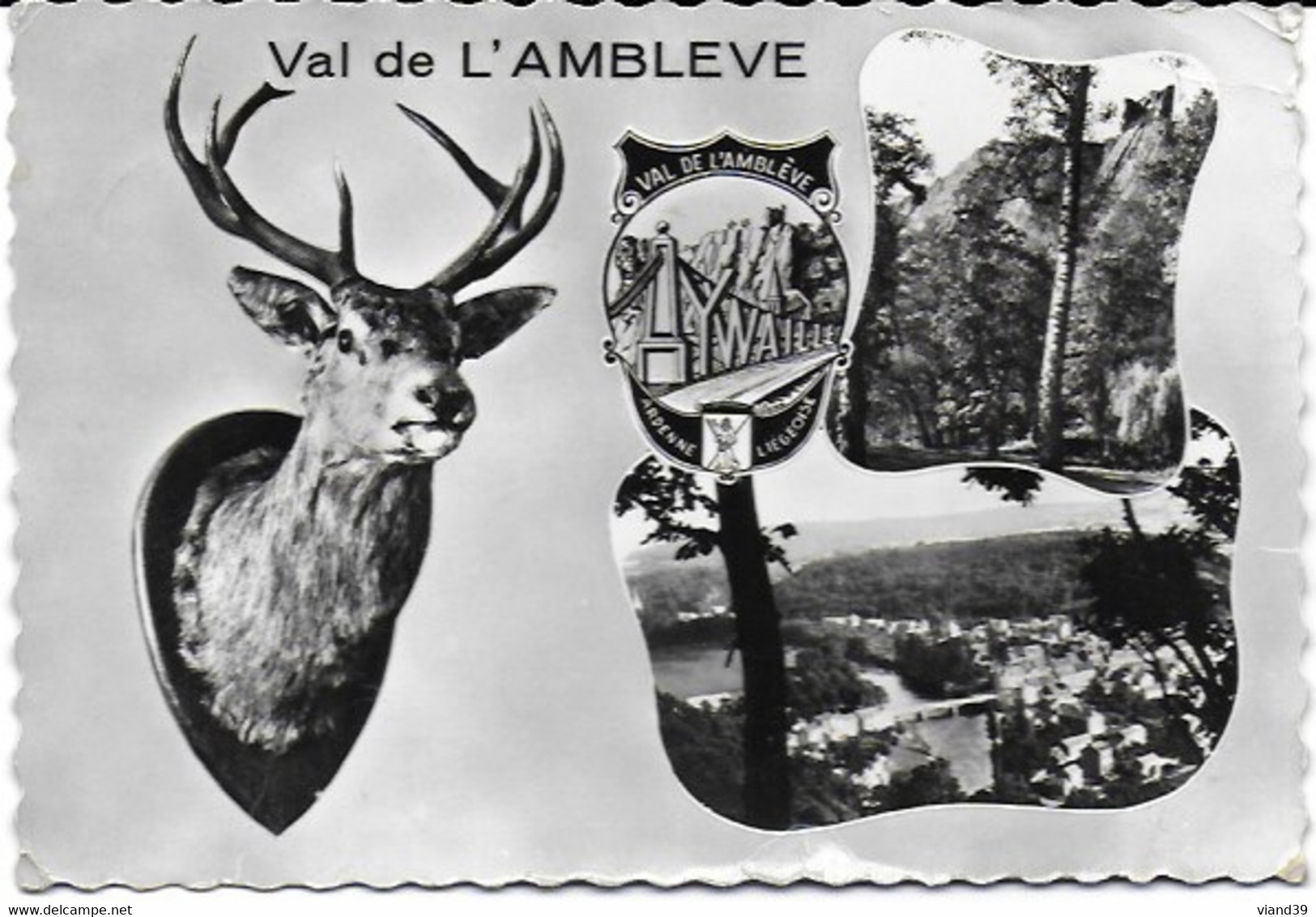Val De L'Ambleve - Aywaille : Capitale De L'Amblève, Centre De Tourisme Et De Vacances - Ambleve - Amel