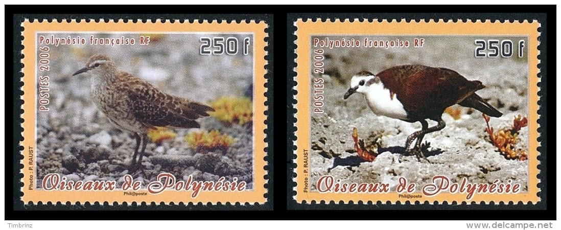 POLYNESIE Année Complète 2006 + BF (dont Carnet) - Yv. 761 à 797 + BF 32 ** SUP - 39 Timbres ** MNH  ..Réf.POL23262 - Volledig Jaar