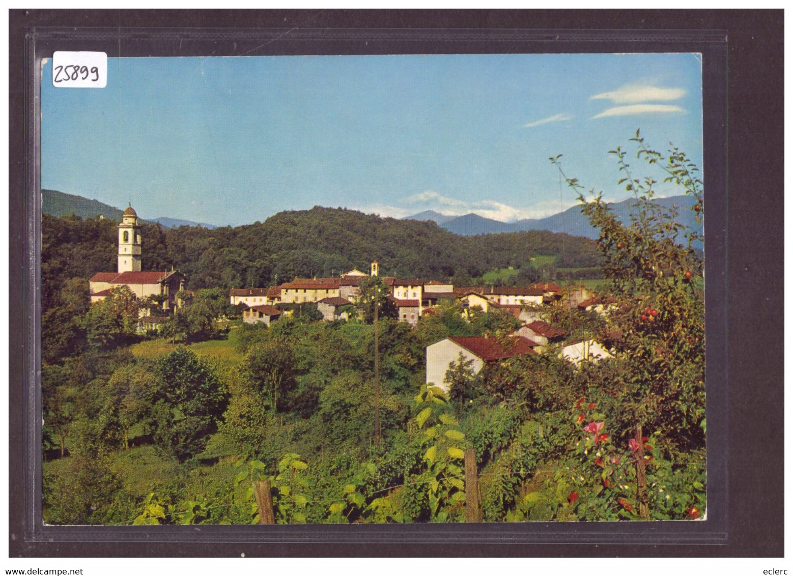 CARTE MODERNE - SESSA - TB - Sessa