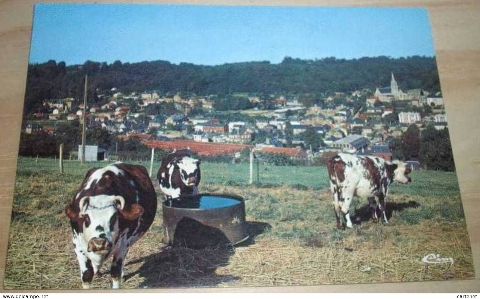 76    -    GRUCHET LE VALASSE VUE GENERALE VACHES AUX PRES @ RECTO VERSO AVEC BORDS - Otros & Sin Clasificación