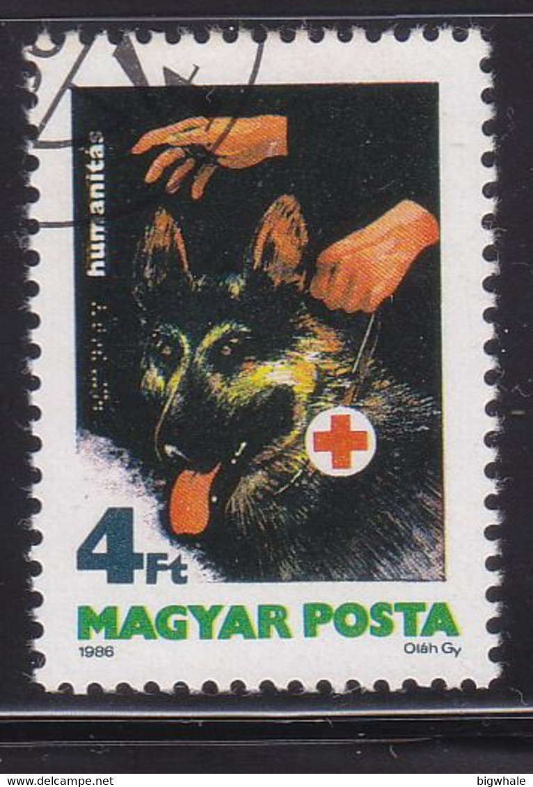 Hungary 1986 Dog Chien Used 1V - Andere & Zonder Classificatie