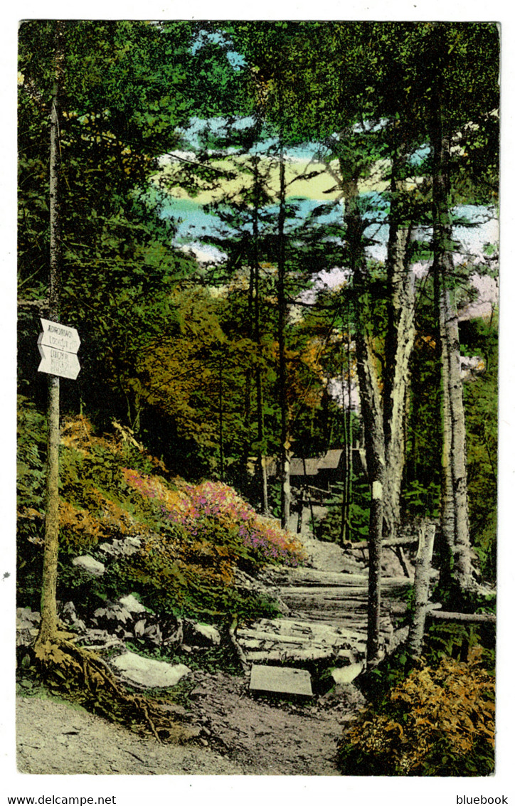 Ref 1475 - 1941 USA Postcard - Long Trail Lodge Sherburne Pass - Rutland Vermont - Rutland