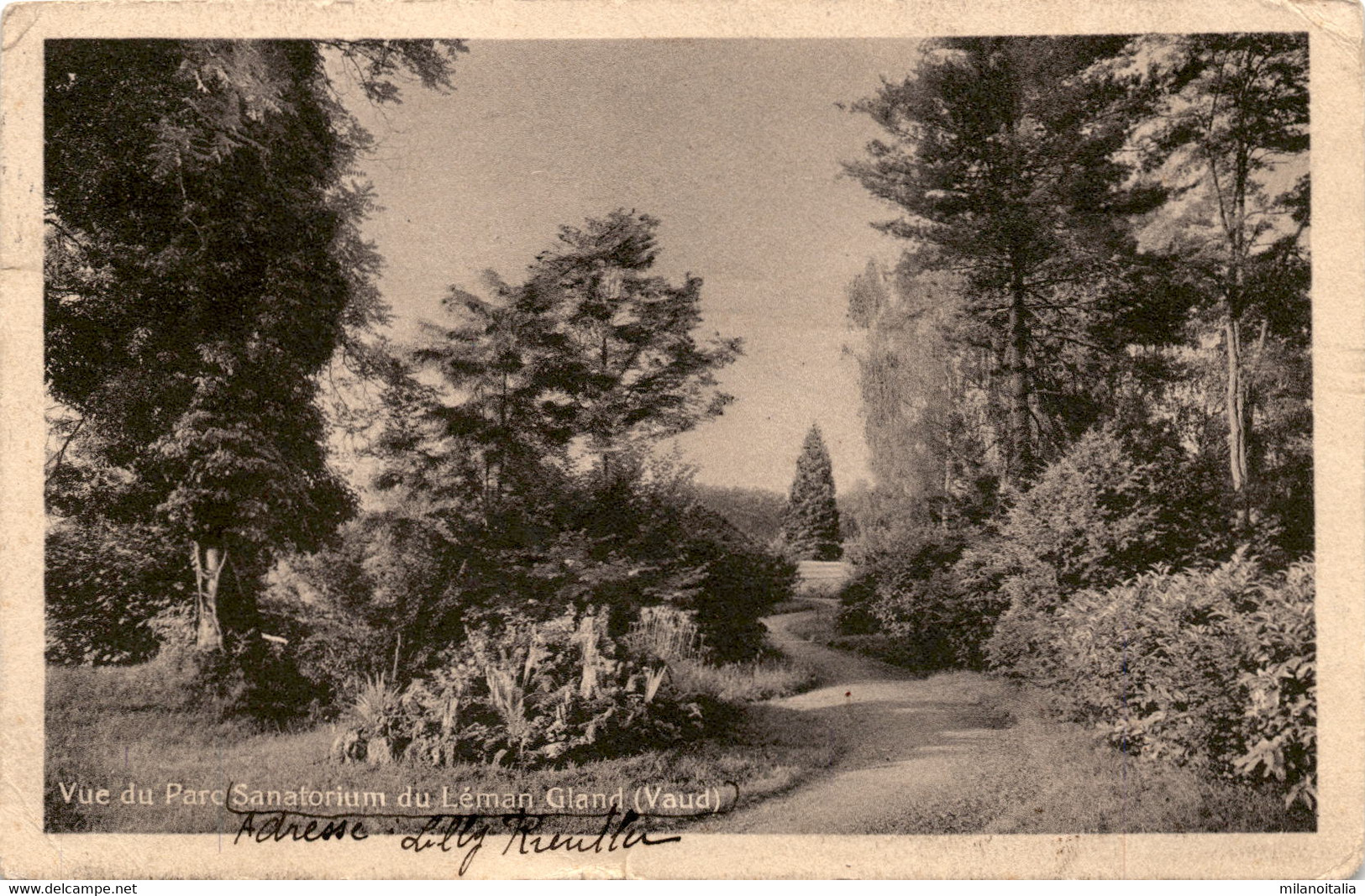 Vue Du Parc Sanatorium Du Leman Gland (Vaud) * 5. 11. 1913 - Gland