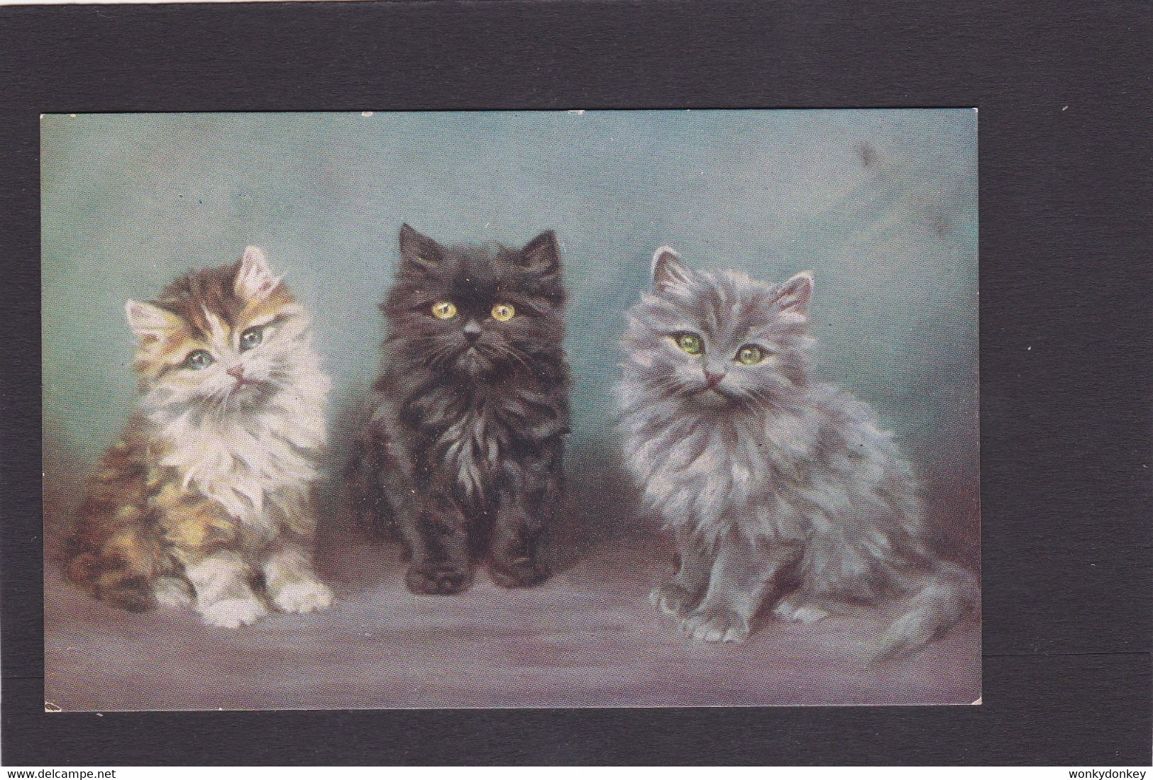 Cat Card -   Three Fluffy Kittens. - Cats