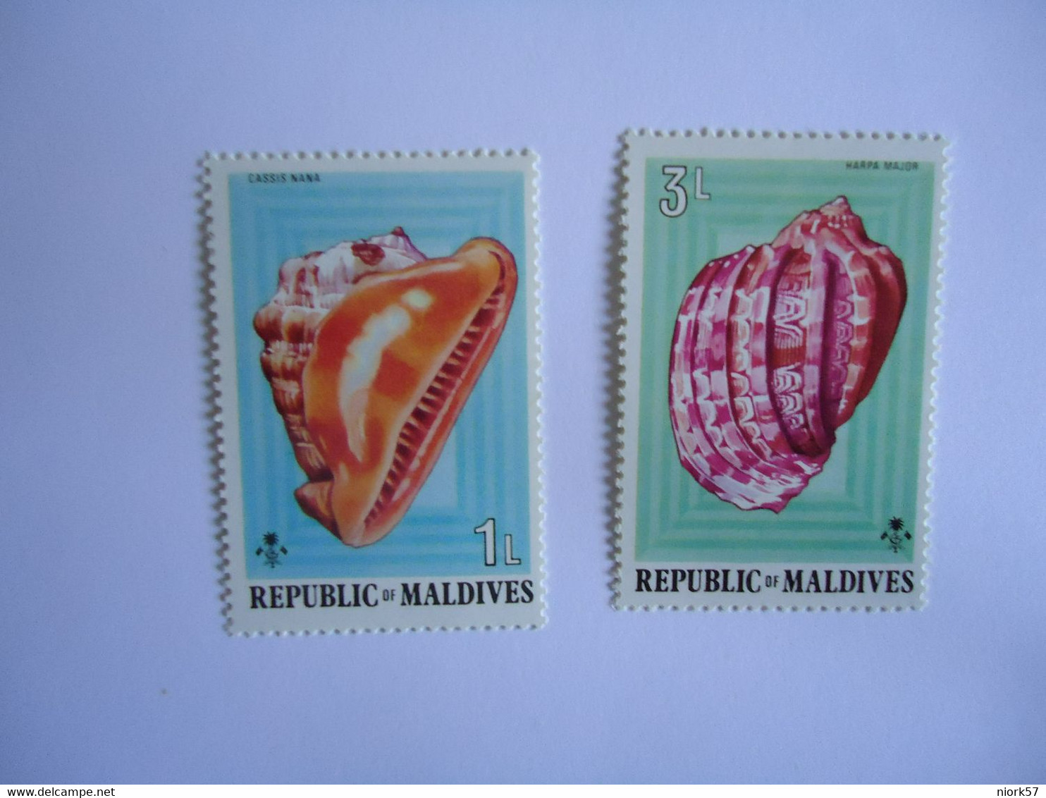 MALDIVES MNH STAMPS SHELLS - Maldives (1965-...)