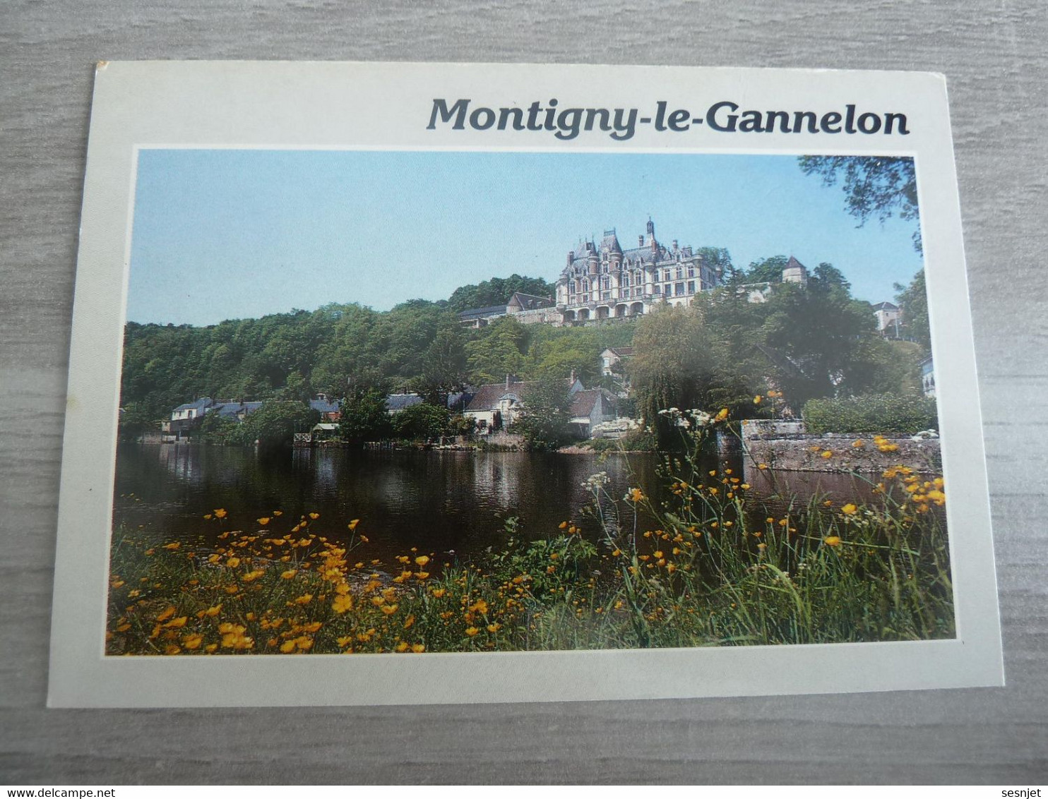 Montigny-le-Gannelon - Le Château - Editions Combier - Cim - Année 1989 - - Montigny-le-Gannelon