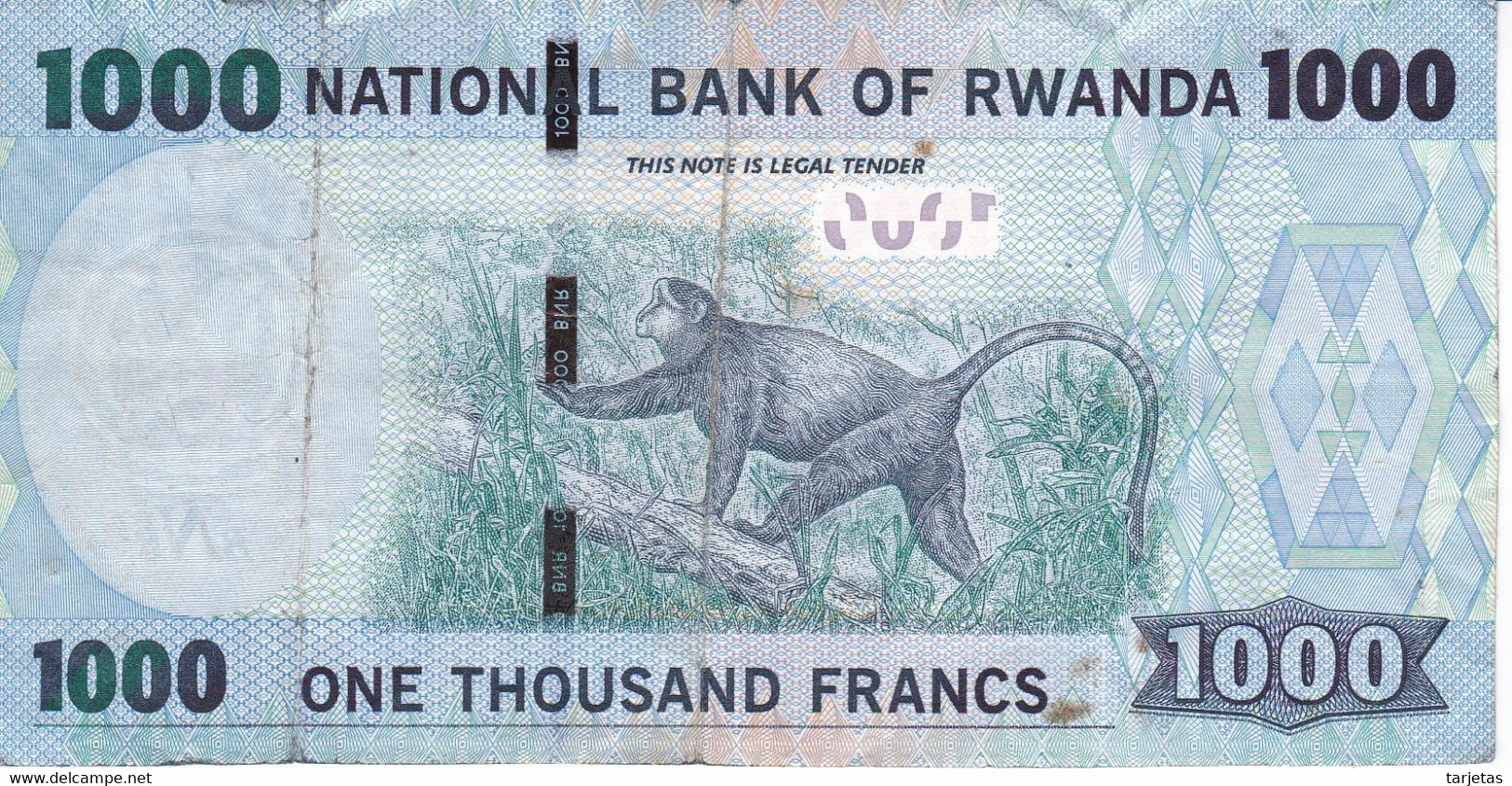 BILLETE DE RWANDA DE 1000 FRANCS DEL AÑO 2015 - MONO-MONKEY  (BANKNOTE) - Rwanda