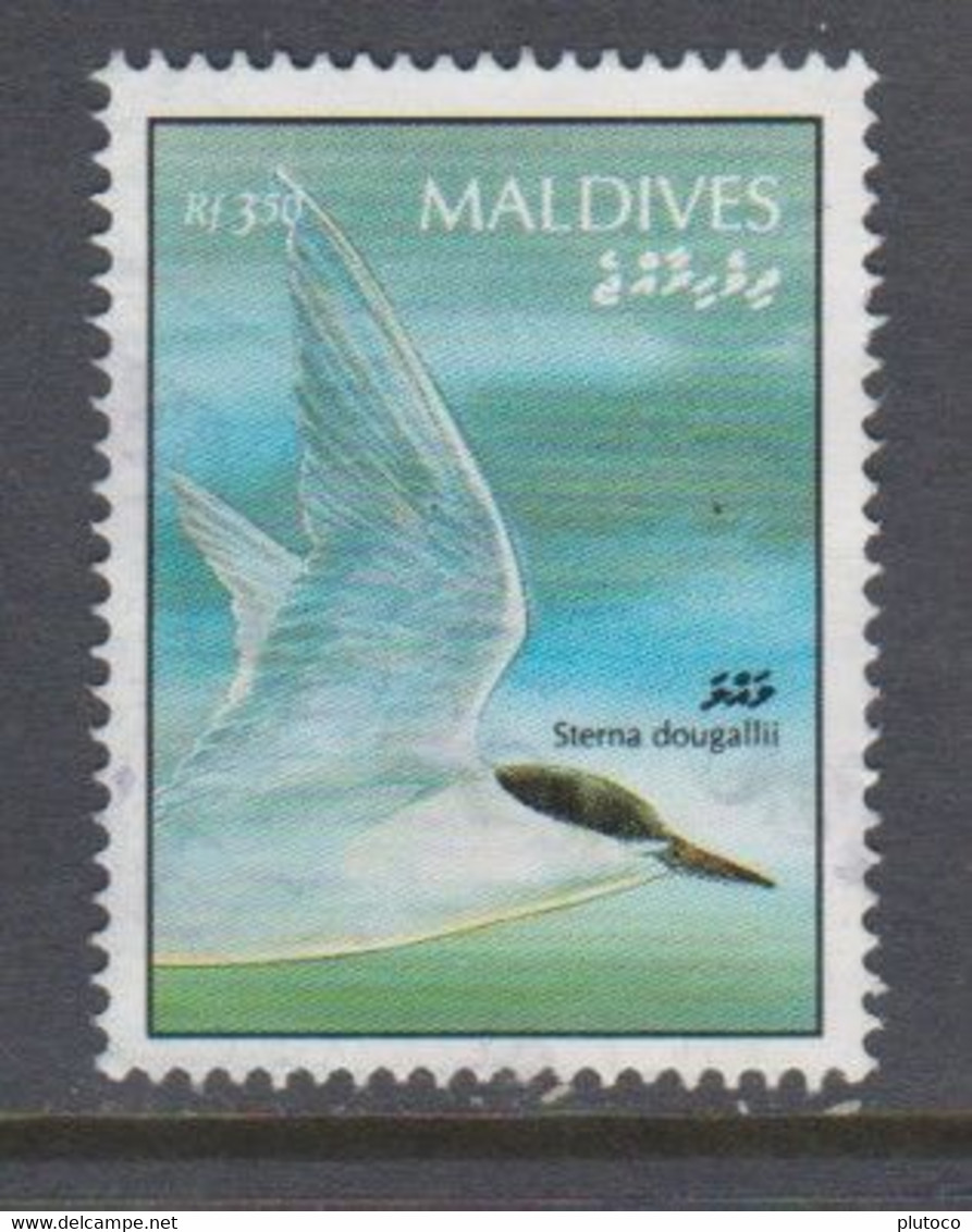 MALDIVAS, USED STAMP, OBLITERÉ, SELLO USADO. - Maldives (1965-...)
