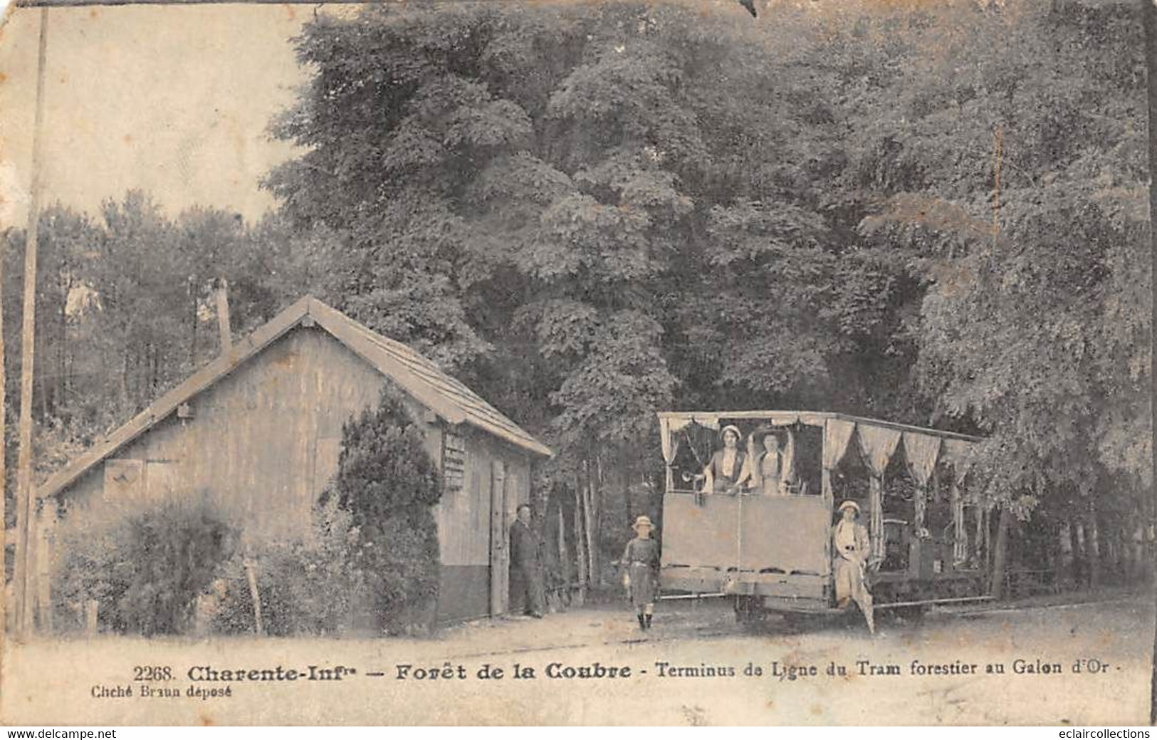 Tramway De La Grande Côte          17   Forêt De La Coubre  Terminus De La Ligne Du Tram     (voir Scan) - Autres & Non Classés