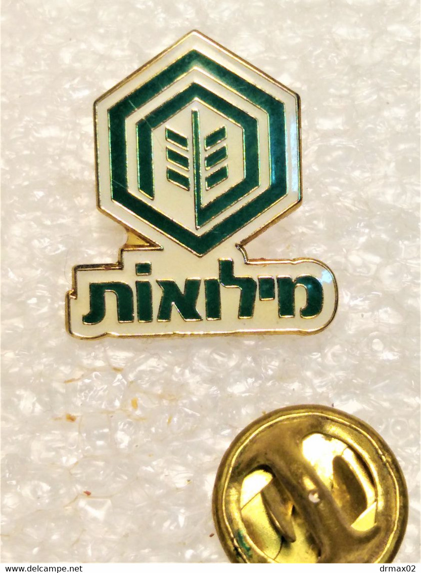 VOLLEYBALL FEDERATION - ASSOCIATION ISRAEL  / Voleibol Pin - Badge - Volleyball