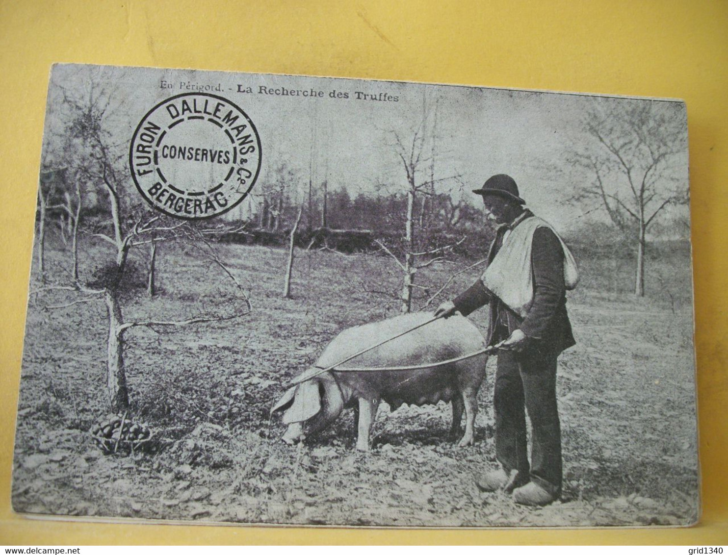 24 7319 CPA - 24  EN PERIGORD. LA RECHERCHE DES TRUFFES. PUB ET CACHET FURON DALLEMANS. CONSERVES. BERGERAC - Otros & Sin Clasificación