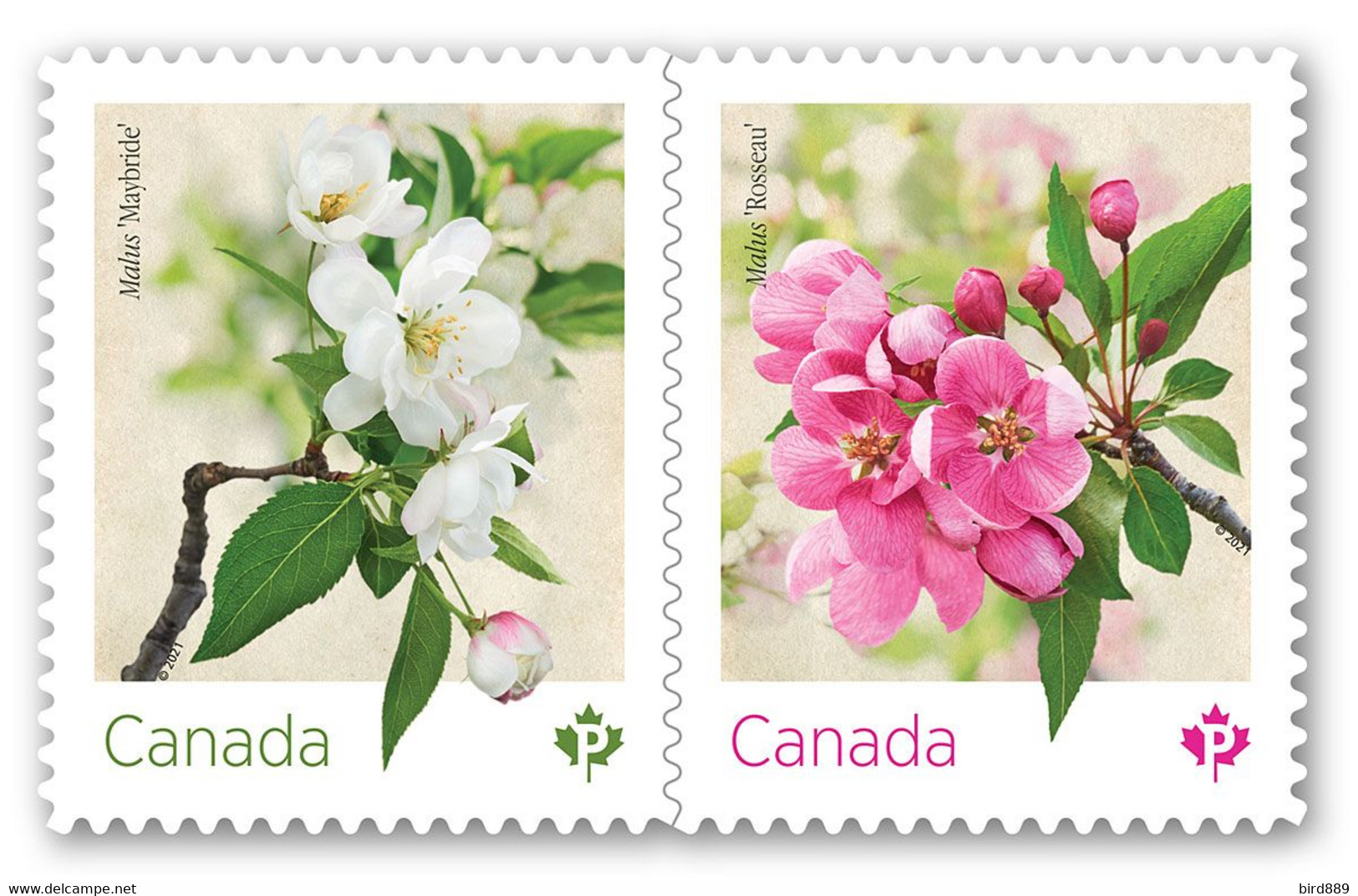 2021 Canada Flower Crabapple Blossom Pair From Booklet MNH - Francobolli (singoli)