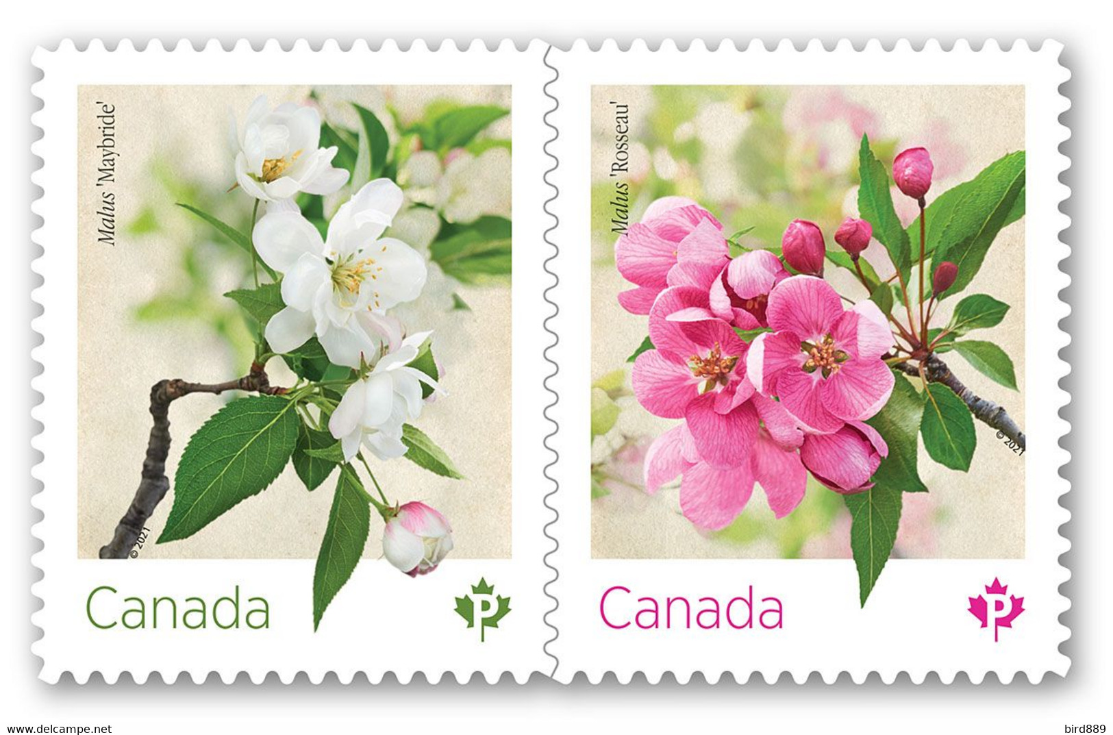 2021 Canada Flower Crabapple Blossom Pair From Booklet MNH - Sellos (solo)