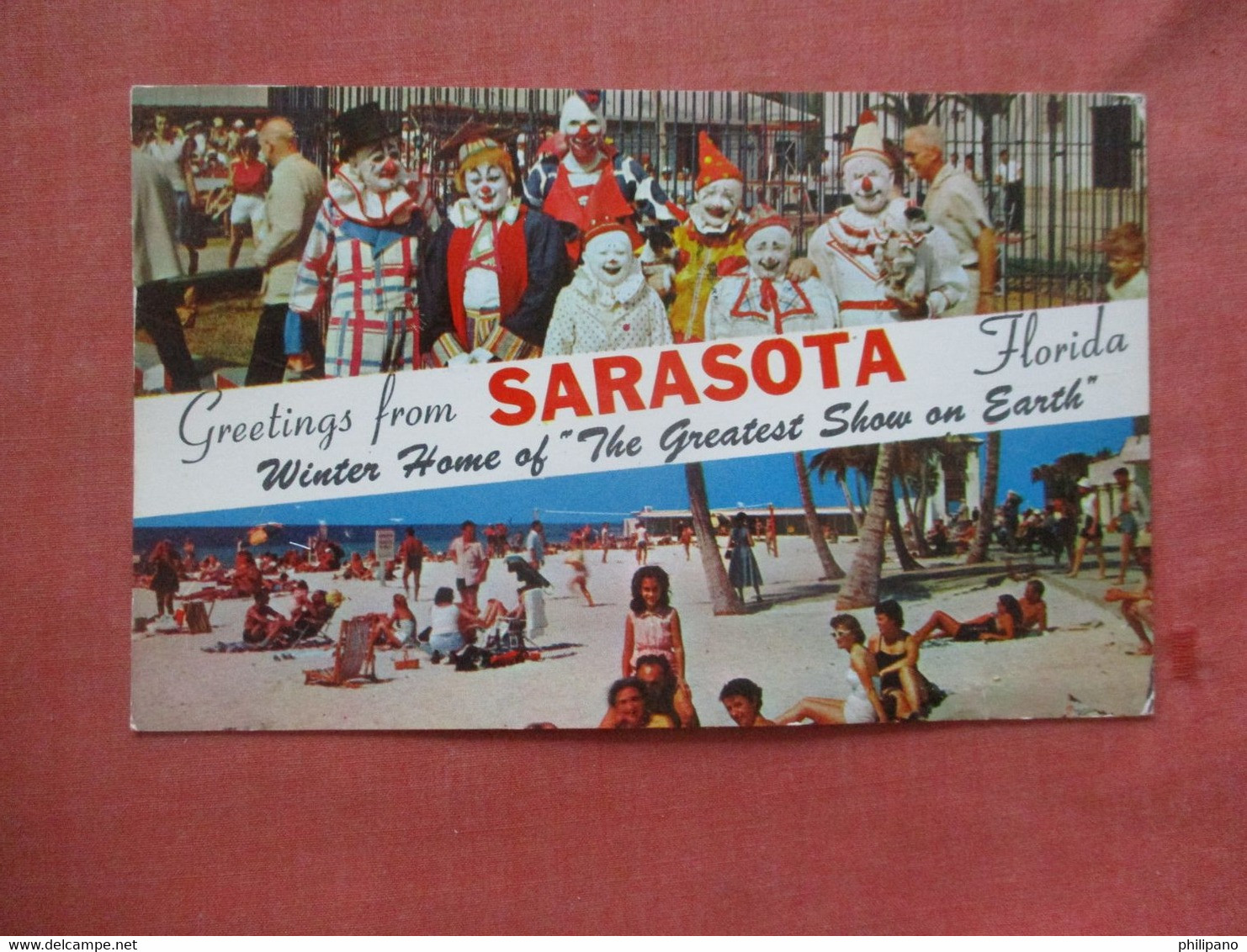 Clowns  Greetings From  Sarasota  Florida > Sarasota     Ref  4724 - Sarasota