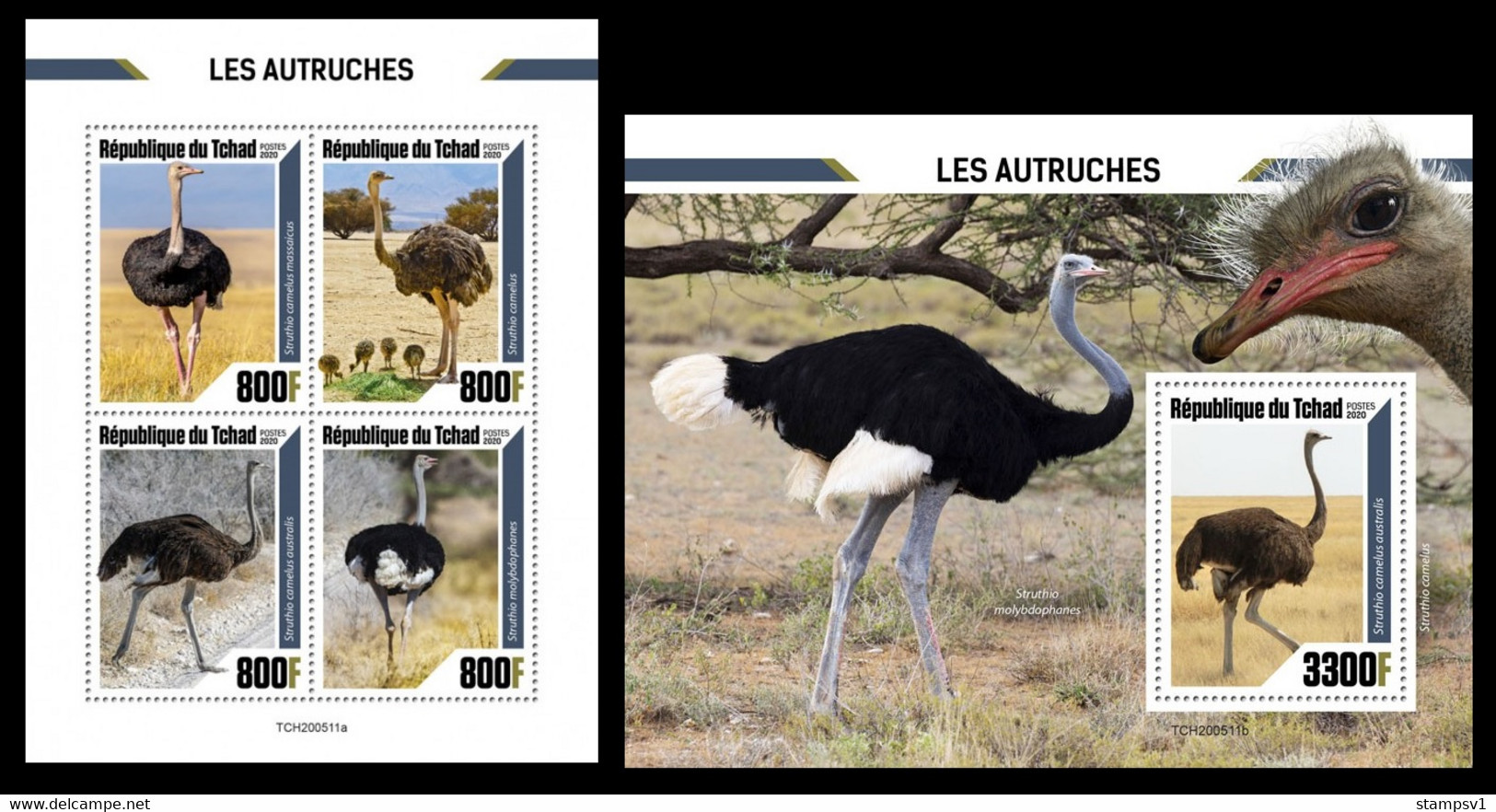 Chad 2020 Ostriches. (511) OFFICIAL ISSUE - Autruches