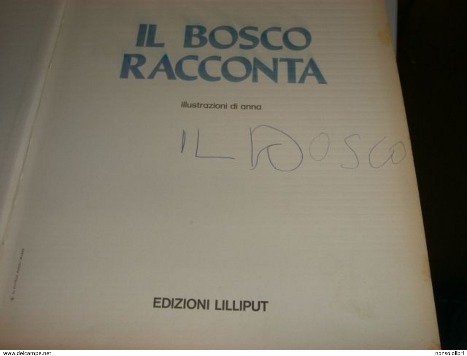 LIBRO"IL BOSCO RACCONTA" EDIZIONE LILLIPUT BY EDITRICE PICCOLI ILLUSTRAZIONI DI ANNA - Novelle, Racconti