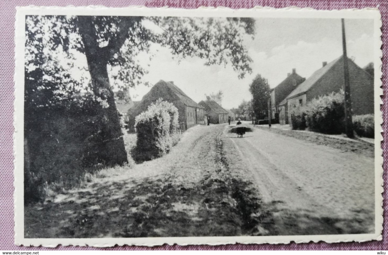 Bel-Geel De Oude Dorpstraat - Gelopen - Geel