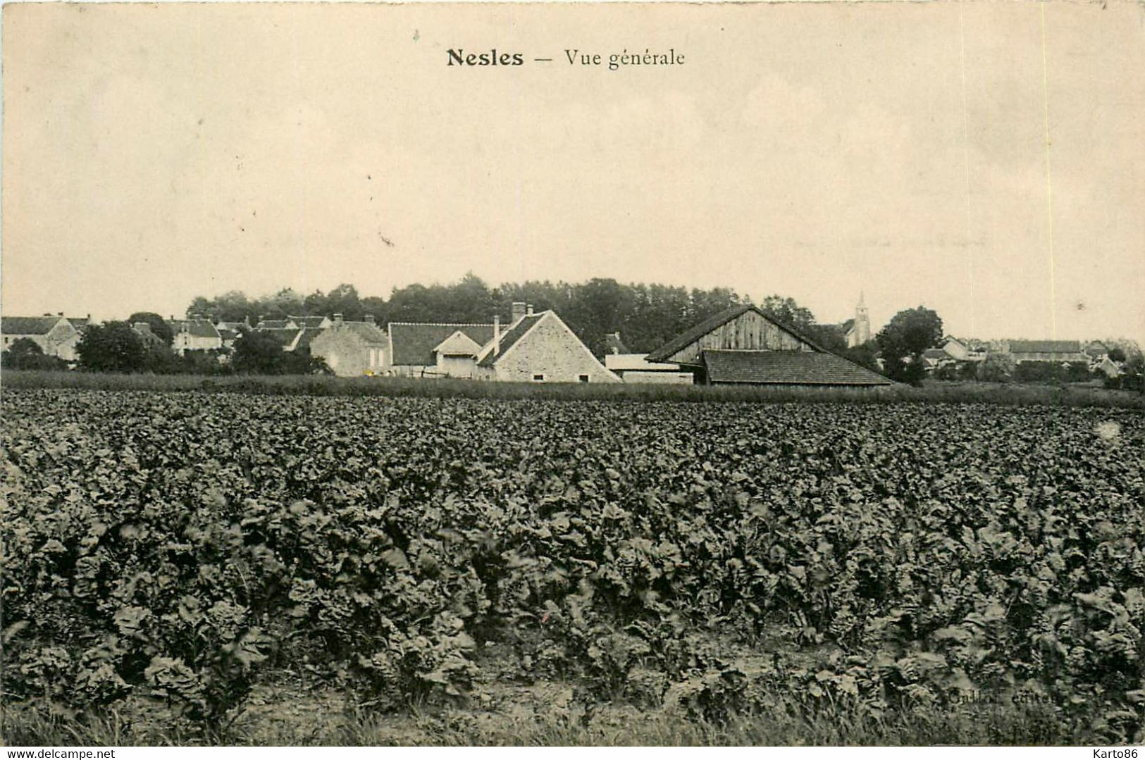 Nesles * Vue Générale * Panorama - Nesles-la-Vallée