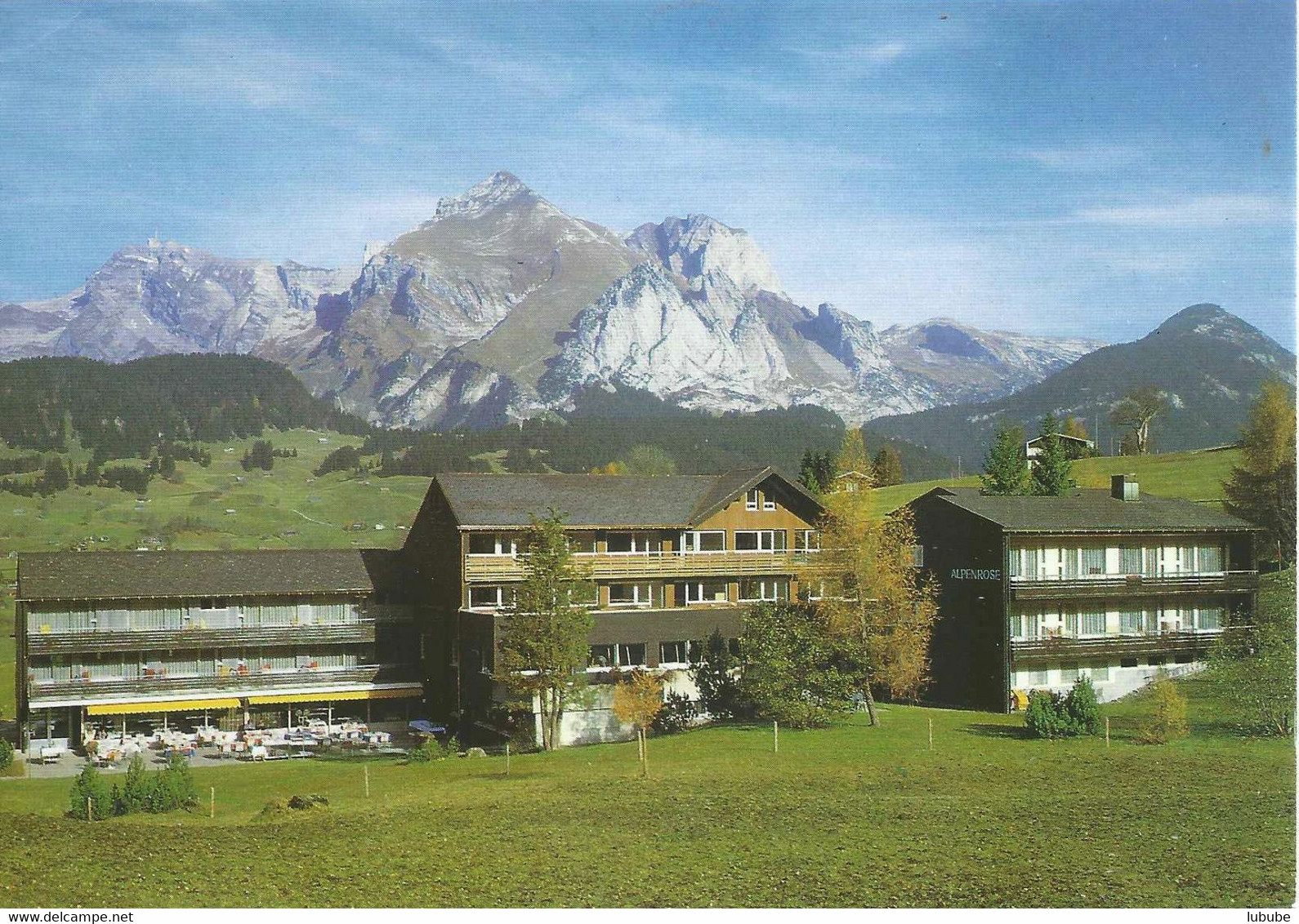 Wildhaus - Hotel Alpenrose              Ca. 1980 - Wildhaus-Alt Sankt Johann