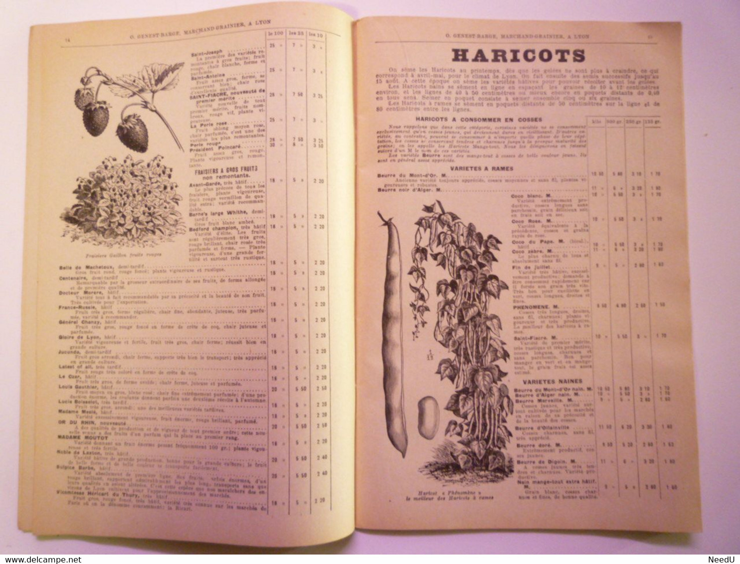 GP 2021 - 68  CATALOGUE 1928  O. GENEST-BARGE  Lyon   Graines Potagères  -  Fleurs  -  Arbres    XXX - Sin Clasificación