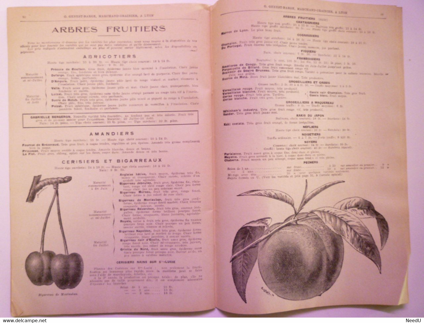 GP 2021 - 68  CATALOGUE 1928  O. GENEST-BARGE  Lyon   Graines potagères  -  Fleurs  -  Arbres    XXX