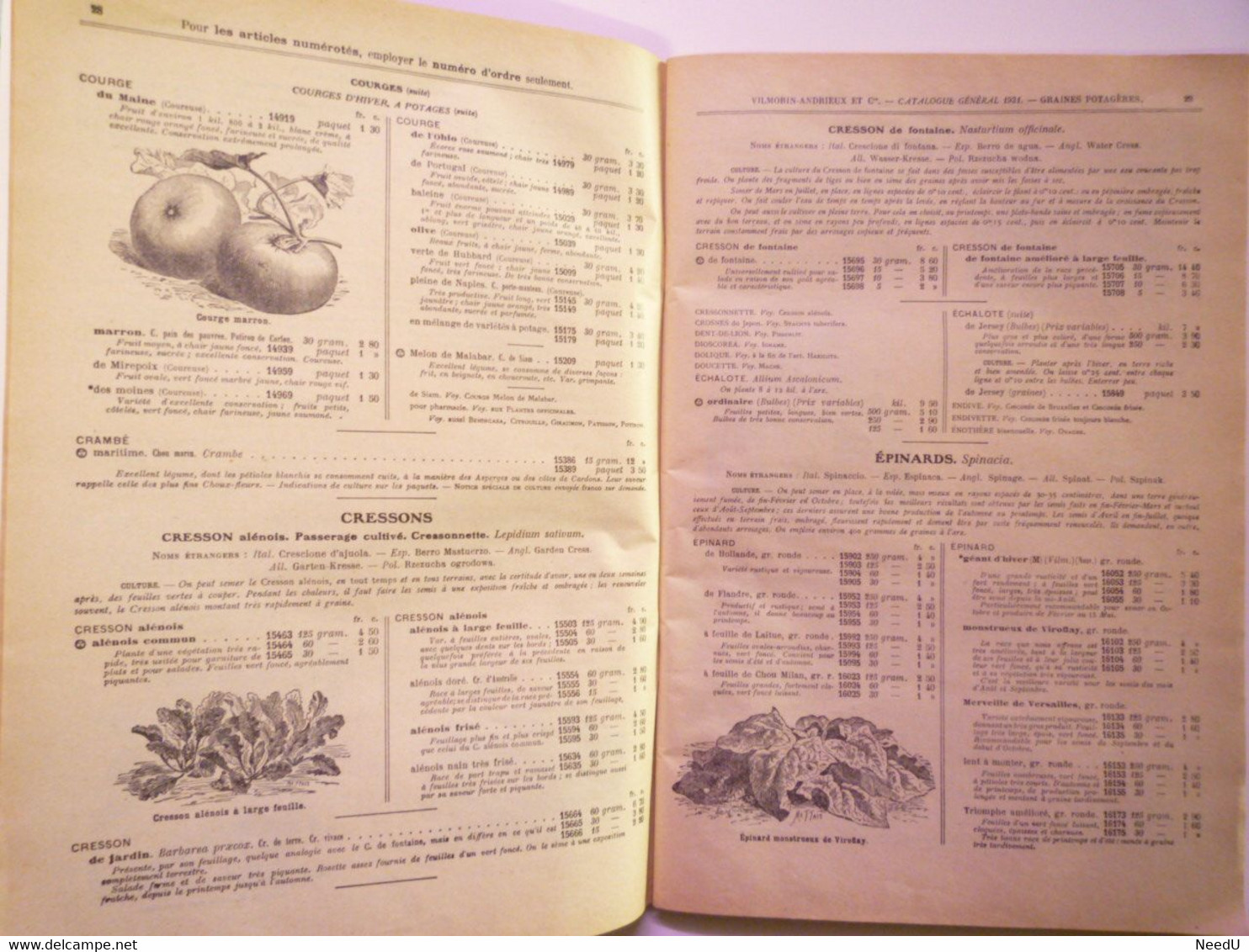 GP 2021 - 69  CATALOGUE 1931  VILMORIN-ANDRIEUX  Potager  -  Fleurs  -  Arbustes   XXX - Zonder Classificatie