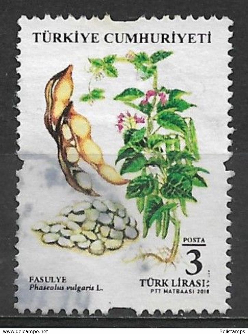 Turkey 2018. Scott #3583 (U) Legumes, Phaseolus Vulgaris (Fasulye) - Used Stamps