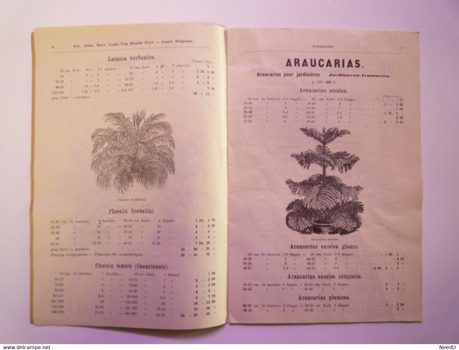 GP 2021 - 72  CATALOGUE 1913 - 14  Louis VAN HOUTTE Père  GAND /GENT  Fleurs  - Plantes  -  Arbustes  XXX - Zonder Classificatie