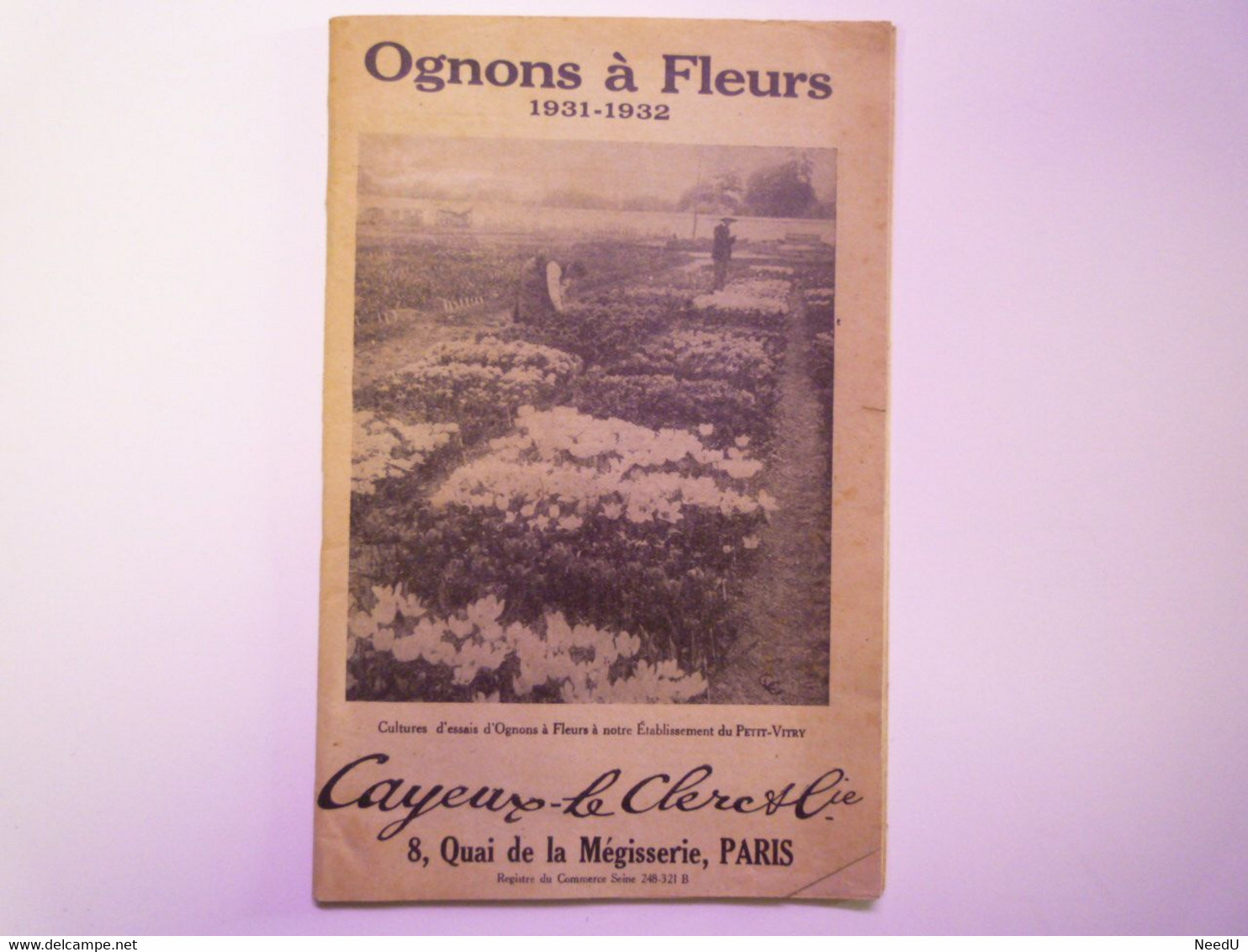 GP 2021 - 78  CATALOGUE  CAYEUX-LE CLERC & Cie  :  OIGNONS à FLEURS  1931 - 1932  XXX - Zonder Classificatie