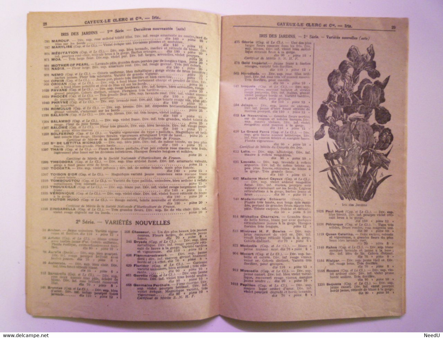 GP 2021 - 78  CATALOGUE  CAYEUX-LE CLERC & Cie  :  OIGNONS à FLEURS  1931 - 1932  XXX - Zonder Classificatie