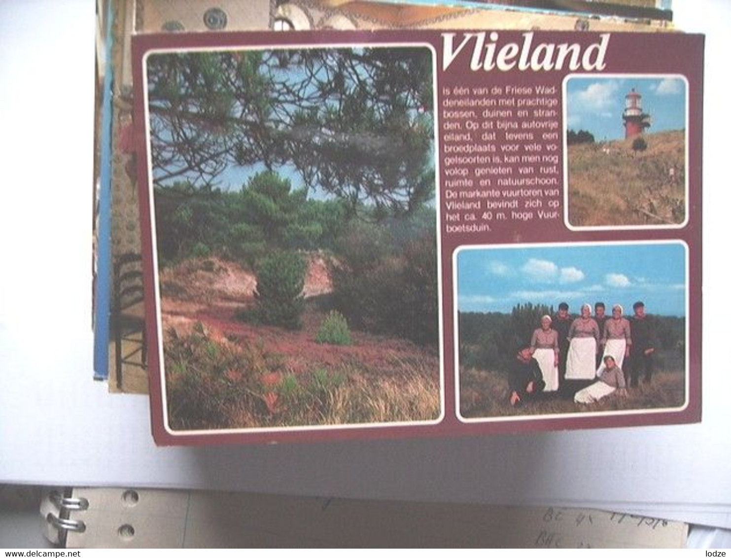 Nederland Holland Pays Bas Vlieland Met Verklarende Tekst - Vlieland