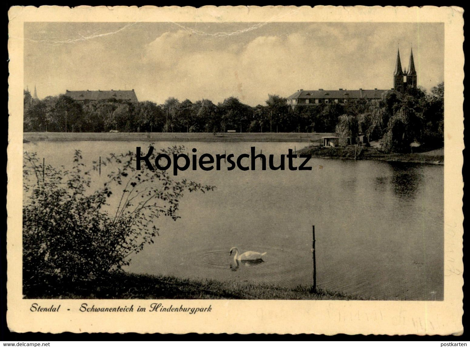 ALTE POSTKARTE STENDAL SCHWANENTEICH IM HINDENBURGPARK 1936 Ansichtskarte Postcard Cpa AK - Stendal