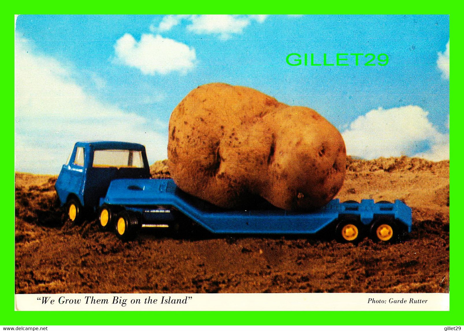 PRINCE EDWARD ISLAND -  POTATOIES - WE GROW THEM BIG ON THE ISLAND - ALLIED SALES LTD - DEXTER SOVEREIGN - - Sonstige & Ohne Zuordnung