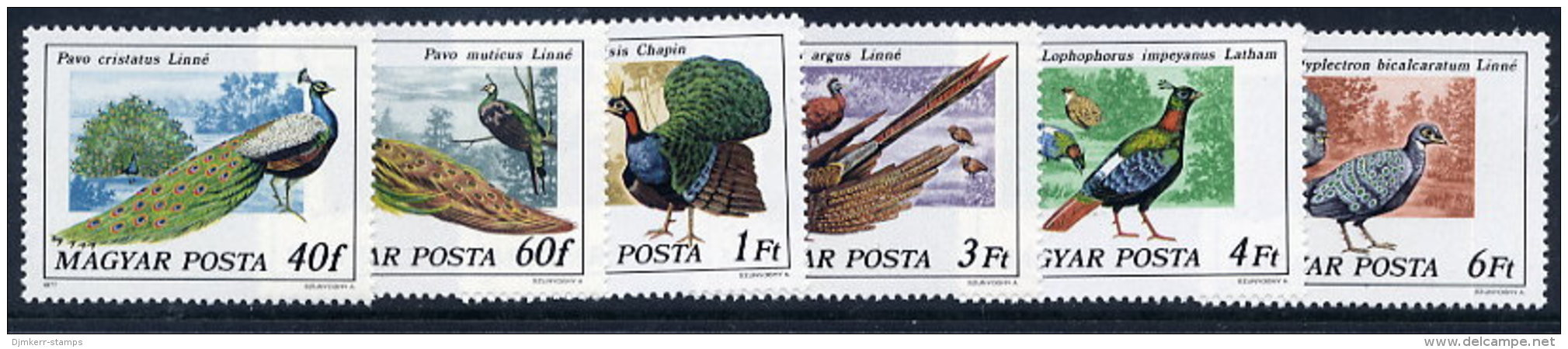 HUNGARY 1977 Peacocks And Pheasants Set MNH / **.  Michel 3185-90 - Unused Stamps