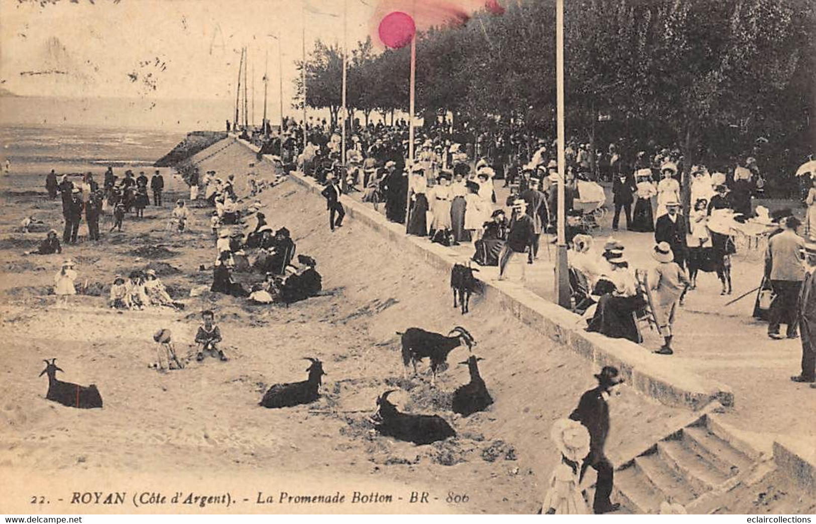 Royan         17          La Promenade Botton. Chèvres      N°  BR 22      (voir Scan) - Royan