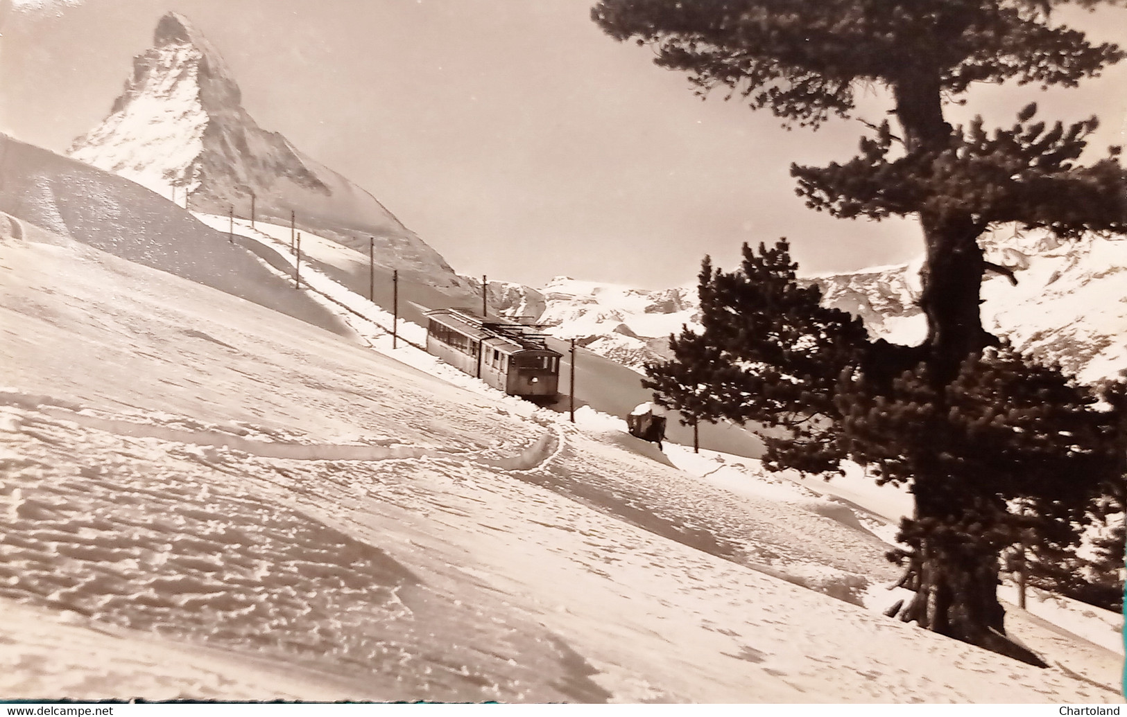 Cartolina - Zermatt - Matterhorn - Die Gornergratbahn Auf Riffelalp - 1952 - Zonder Classificatie