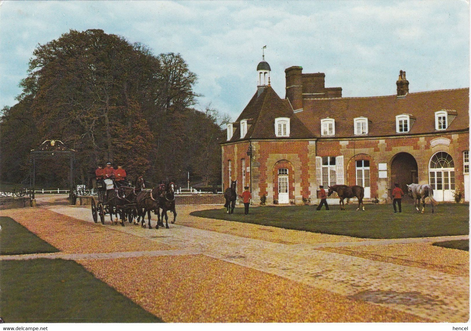 EXMES. Le Haras Du PIN. Attelage. Chevaux - Exmes