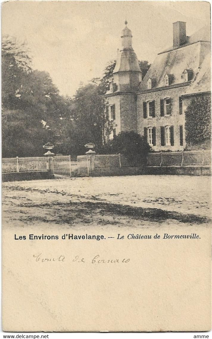 Havelange   * Les Environs D'Havelange -  Le Chateau De Bormenville  (Nels, 3) - Havelange