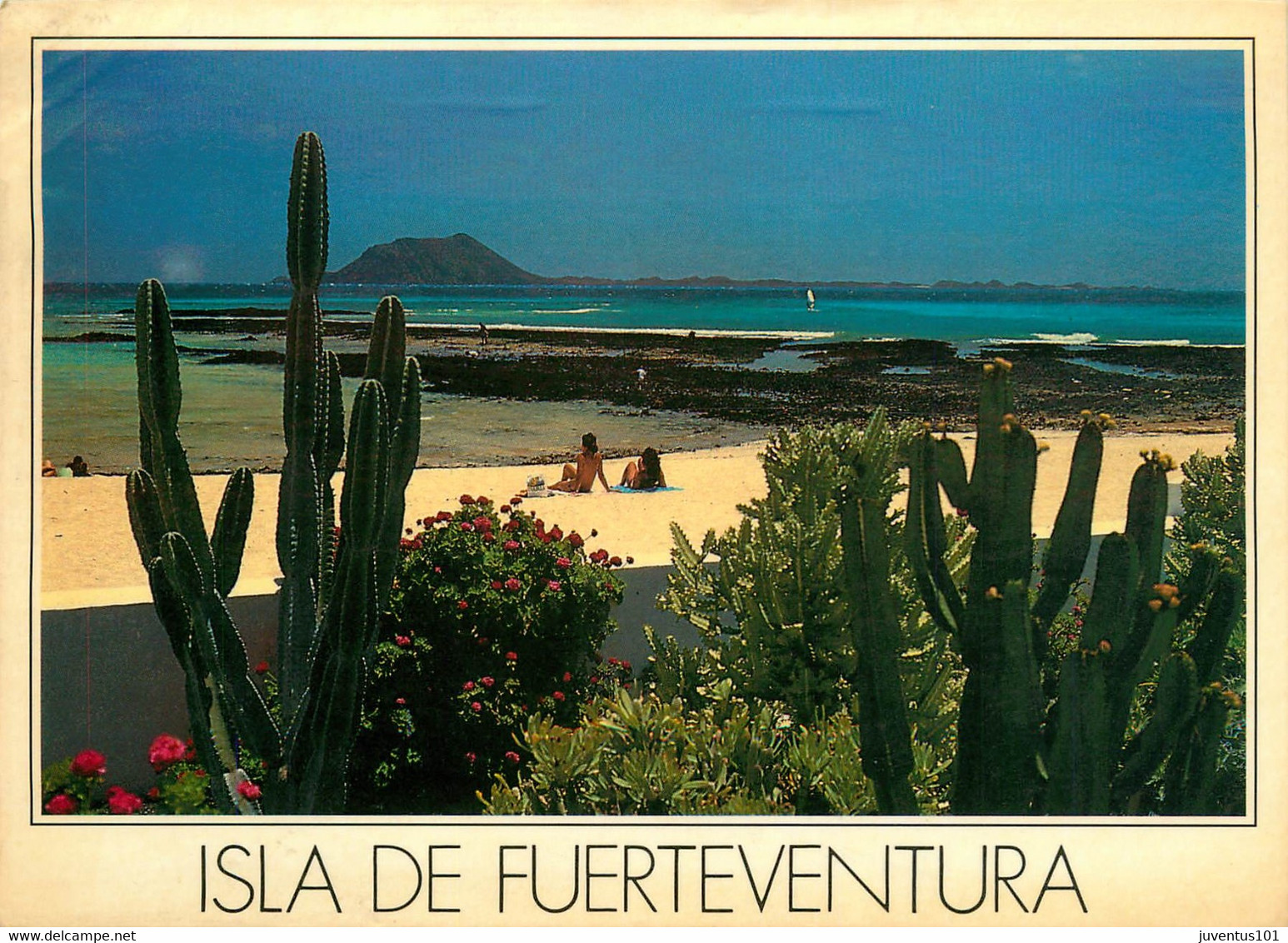 CPSM Isla De Fuenteventura    L349 - Fuerteventura