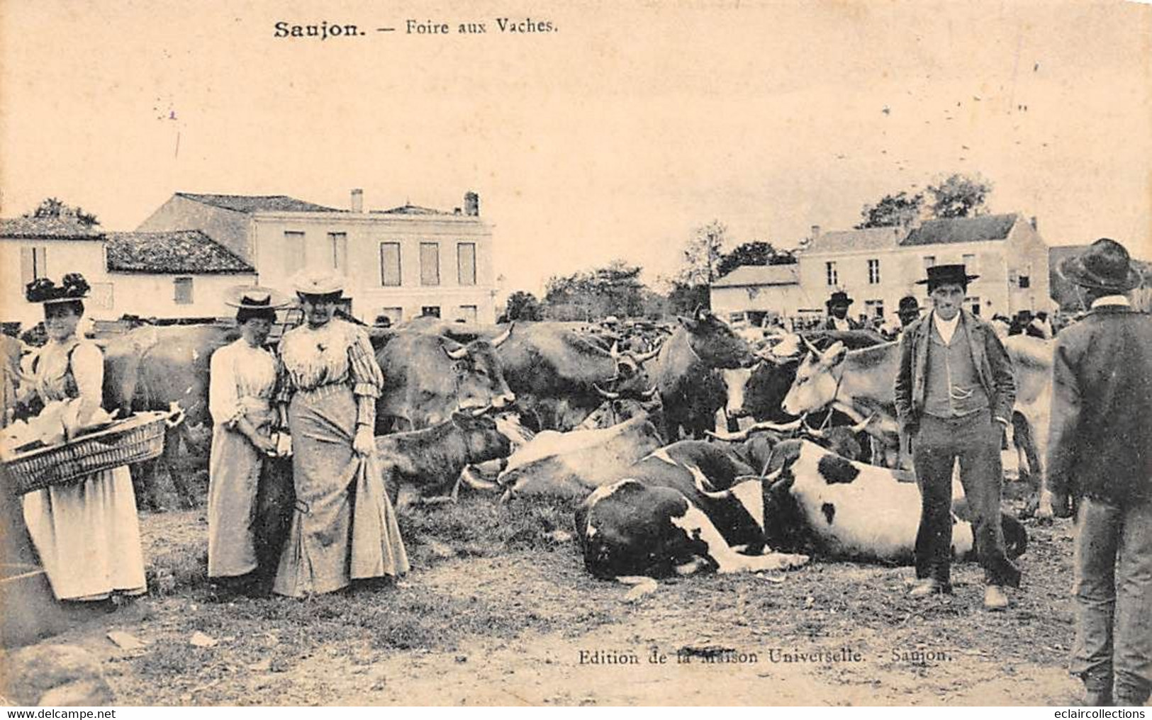 Saujon      17           La Foire Aux Vaches         (voir Scan) - Saujon