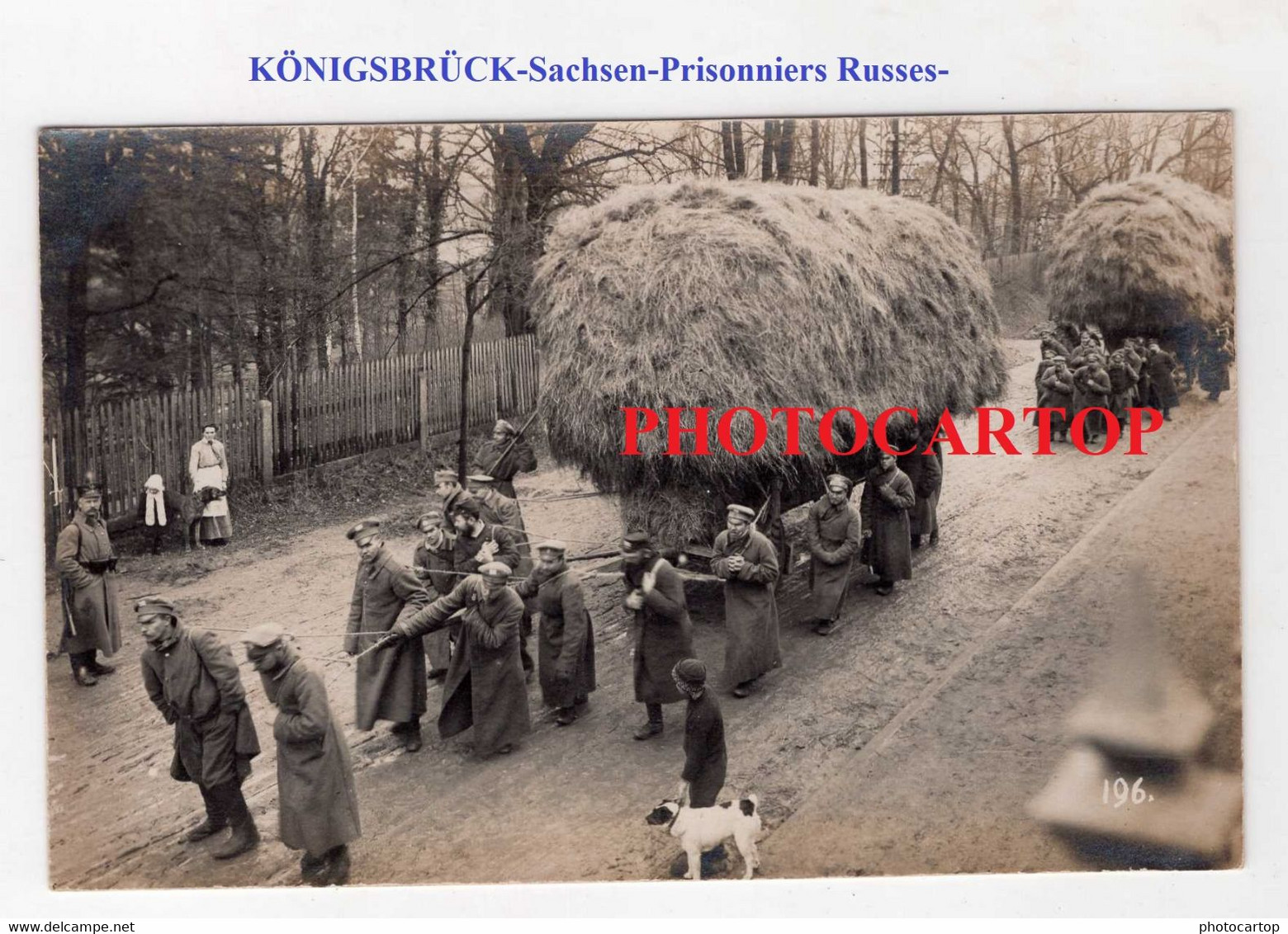 KÖNIGSBRÜCK-Kriegsgefangenenlager-Prisonniers RUSSES-Travail Force-CARTE PHOTO Allemande-Guerre 14-18-1 WK-Militaria- - Koenigsbrueck