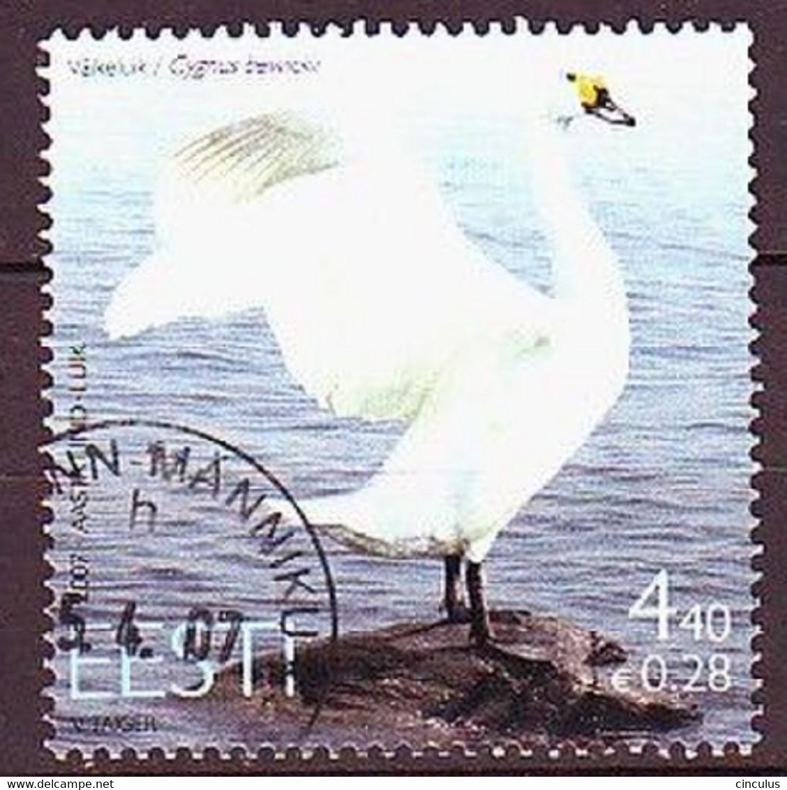 2007. Estonia. Swan. Used. Mi. Nr. 580. - Estonia