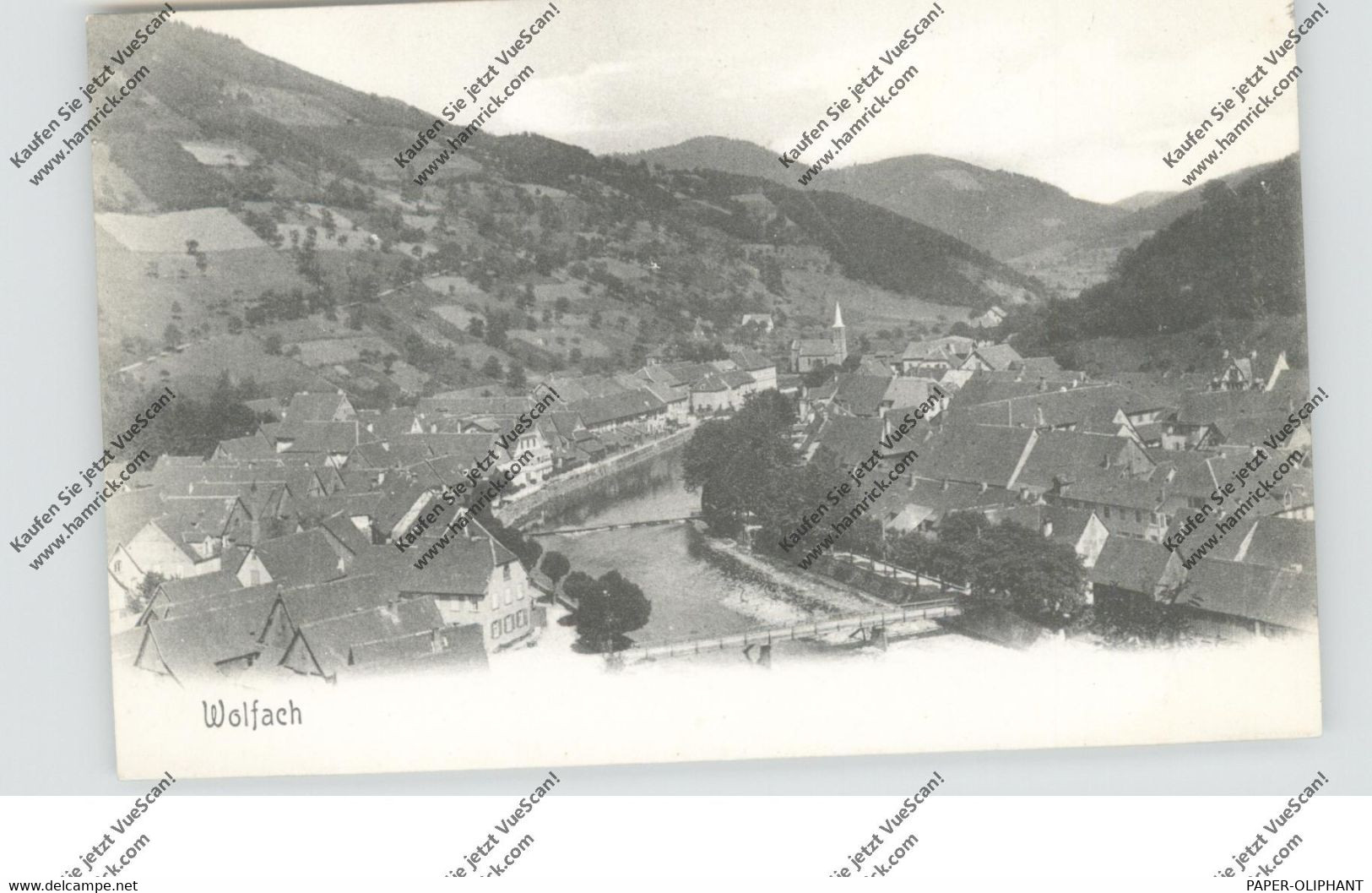 7620 WOLFACH, Gesamtansicht - Wolfach