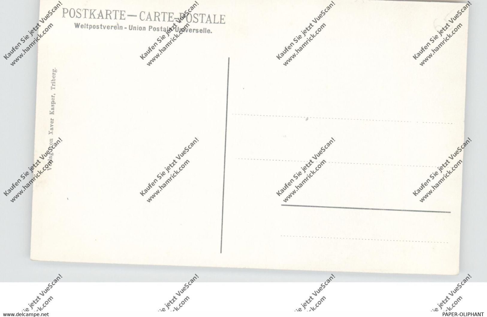 7620 WOLFACH, Gesamtansicht - Wolfach