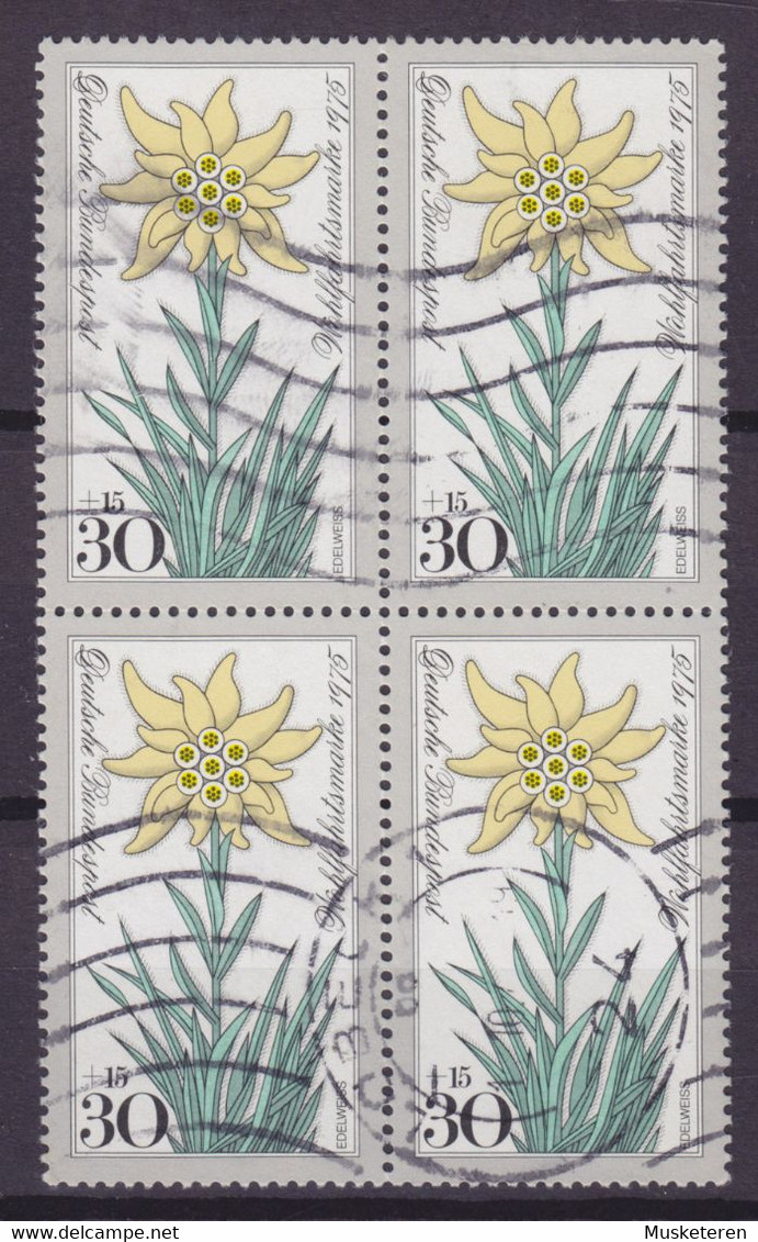 Bundespost 1975 Mi. 867 Wohlfahrt Alpenblumen Edelweis 4-Block !! - Autres & Non Classés