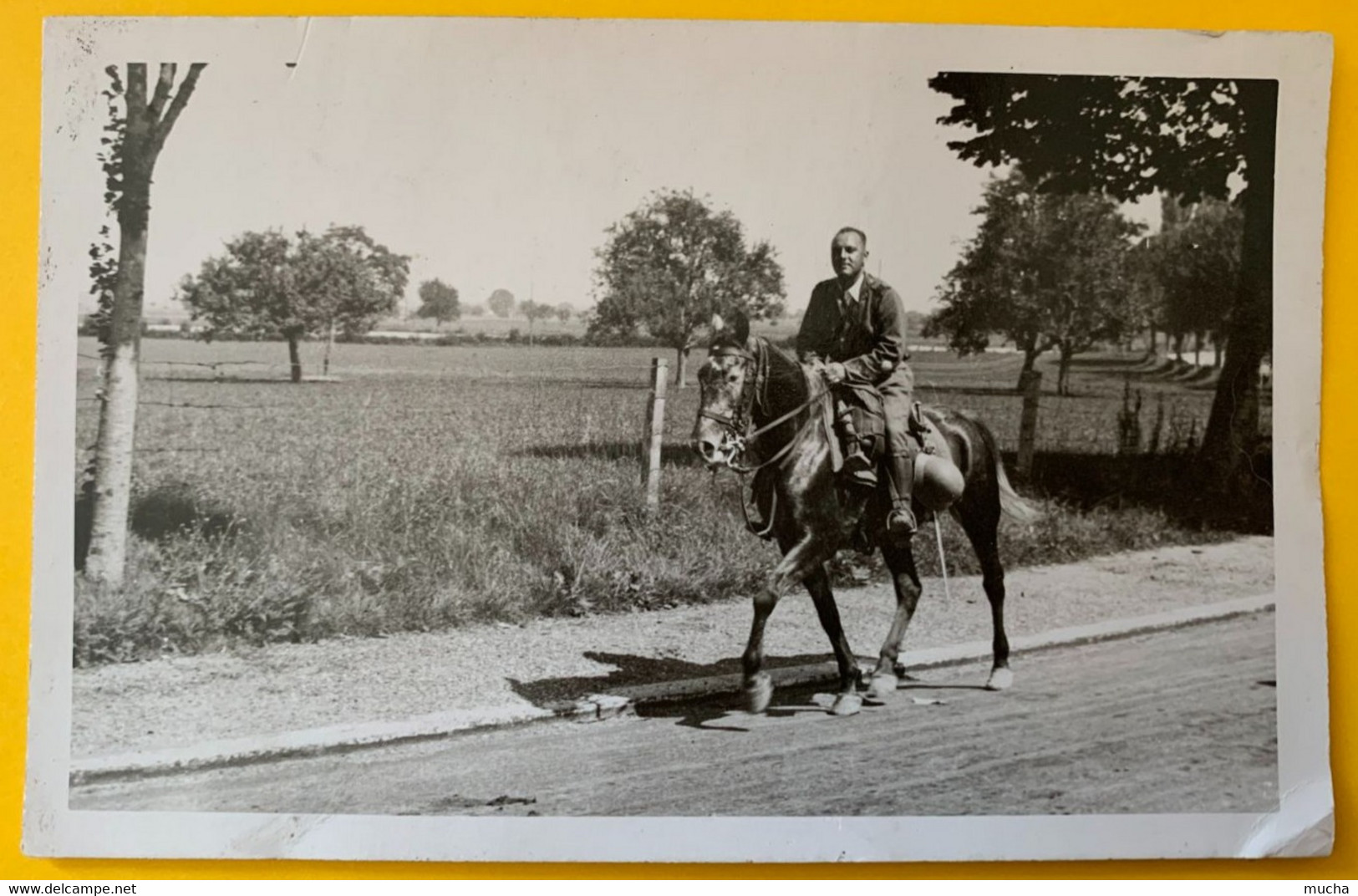 13365 - Adrien De Cugy Sur Son Cheval En 1932 Carte Photo F. Pommerening Kloten - Cugy