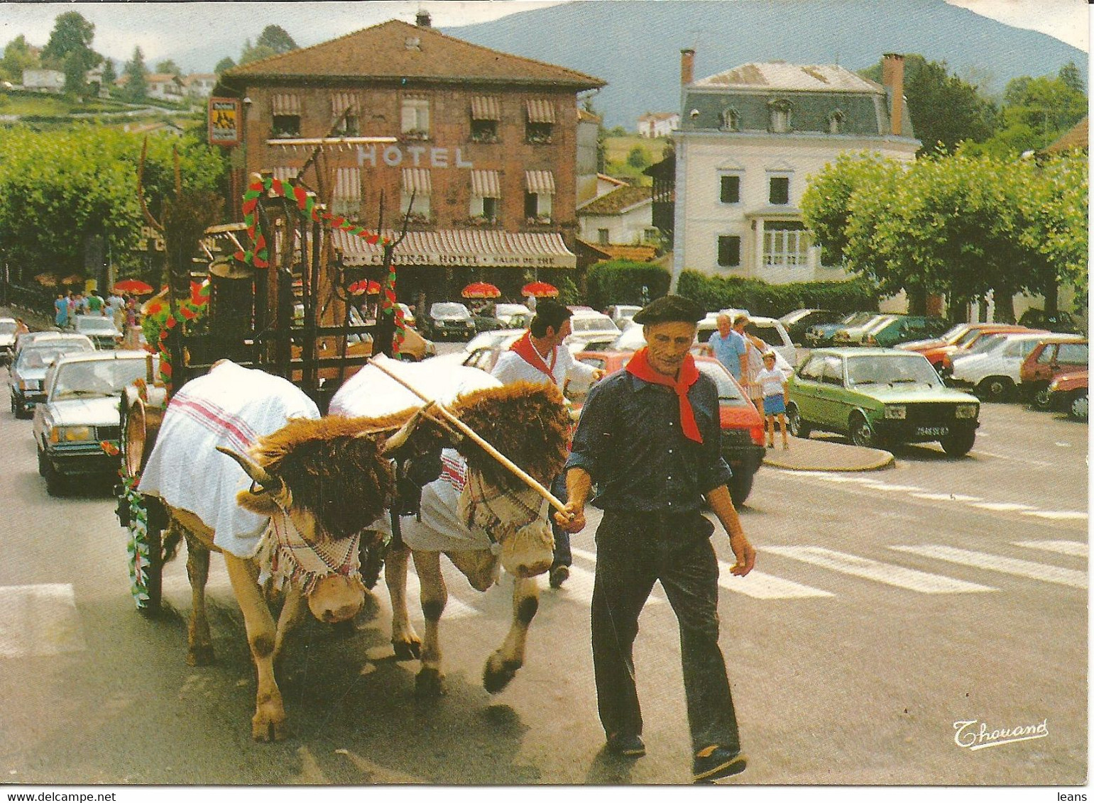 PAYS BASQUE  ATTELAGE DE BOEUFS UN JOUR DE FETE - Teams